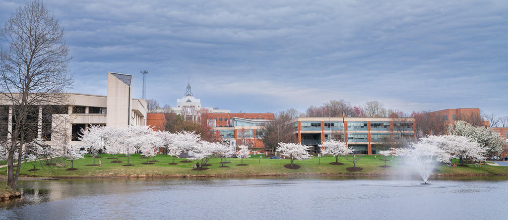 A photo of the Fairfax campus from across Mason Pond.